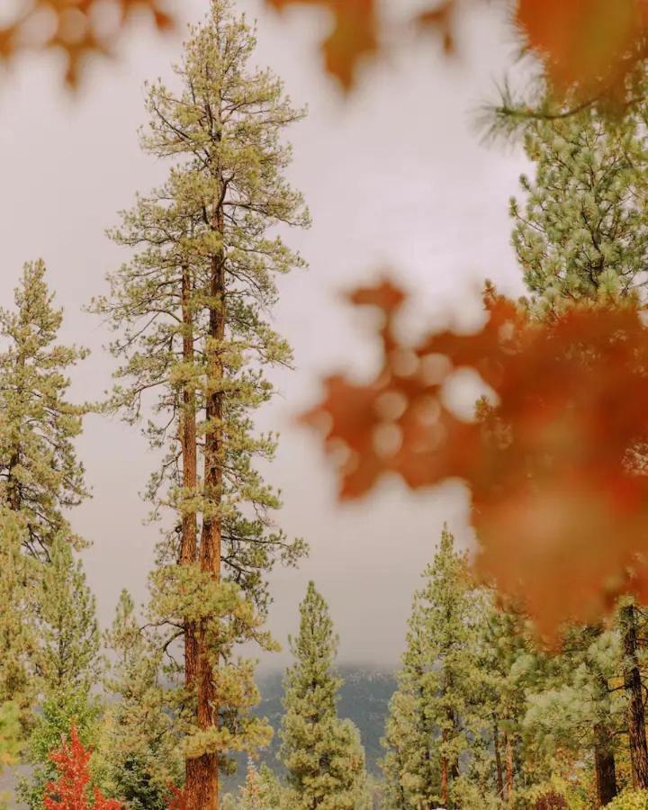 Colorado Lodge بيغ بير لاكي، سان بيرناردينو، كاليفورنيا المظهر الخارجي الصورة